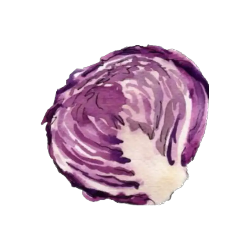 Vegano