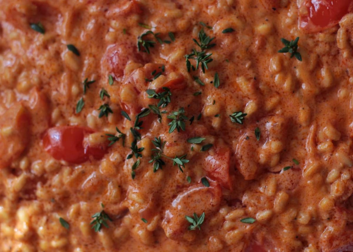 orzo al pomodoro cremoso one pot