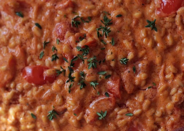 orzo al pomodoro cremoso