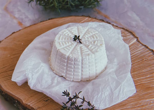 ricotta